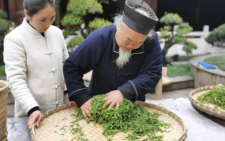 1-Day Hangzhou Private Tour from Shanghai: West Lake, Tea Village & Jiangnan Culture