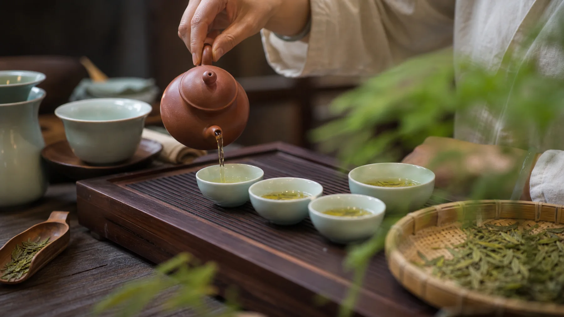 Sichuan Tea Picking & Tea Ceremony