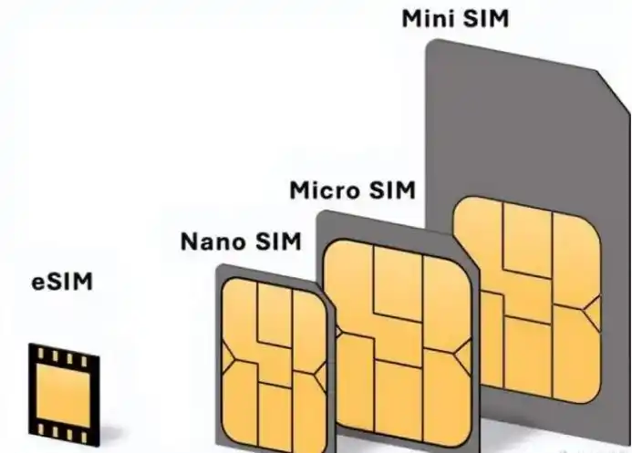 SIM 2