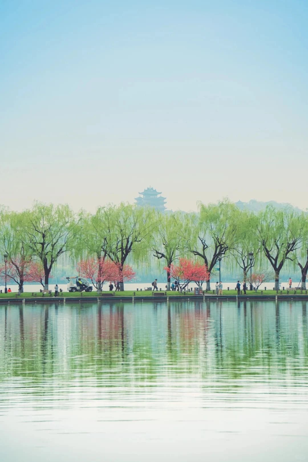hangzhou sudichunxiao