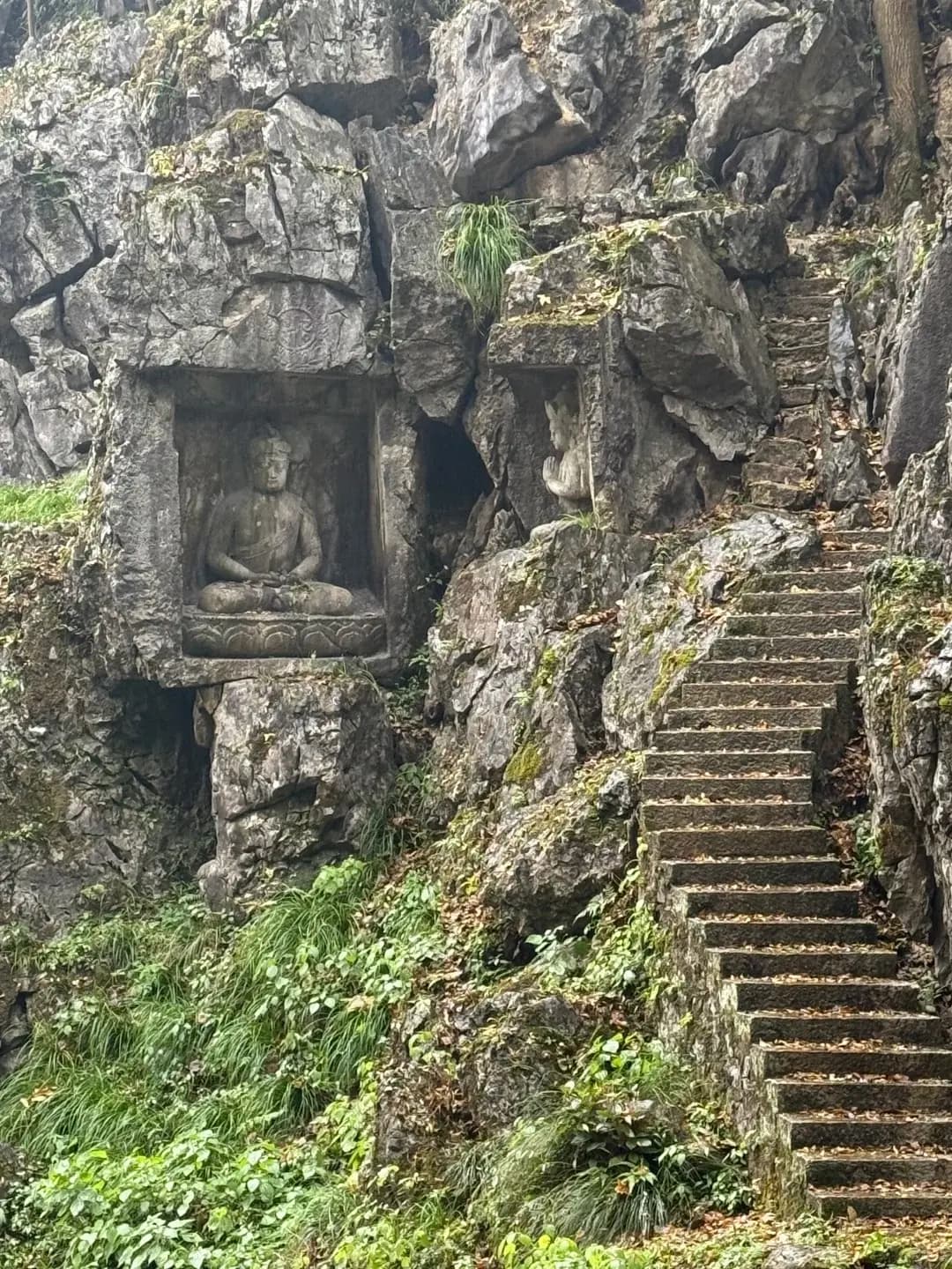 Feilai Feng