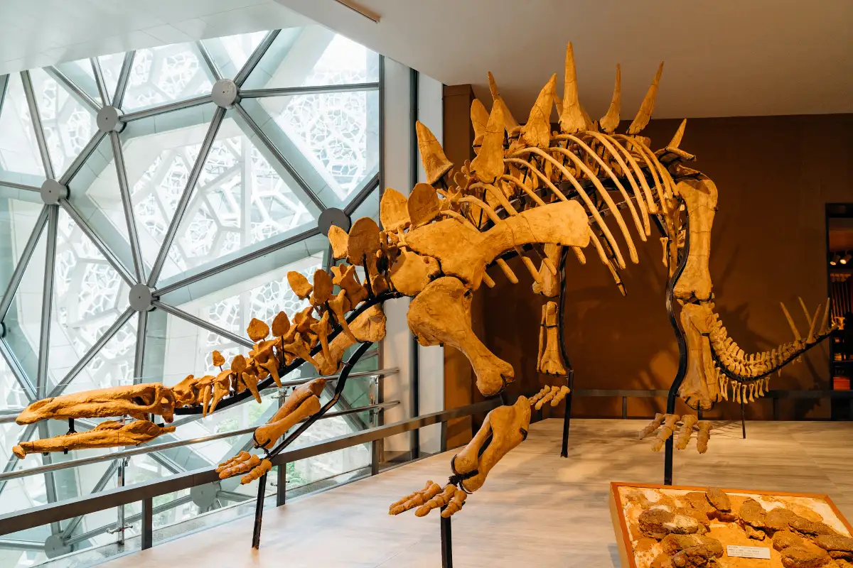 Shanghai Natural History Museum 1