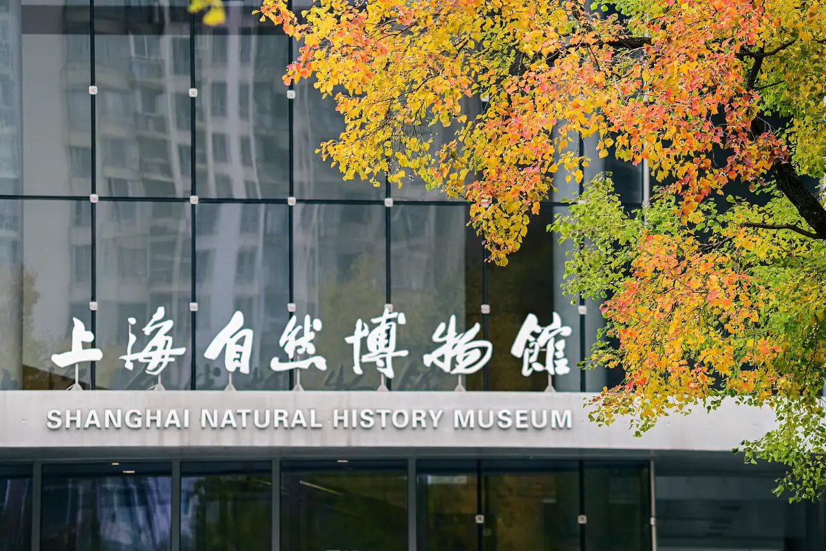 Shanghai Natural History Museum