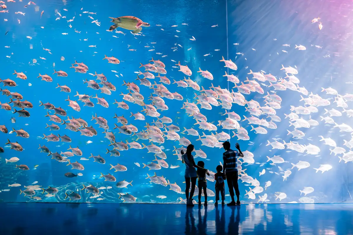Zhuhai with kids