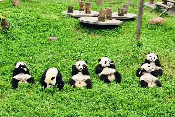 Dujiangyan Panda Valley