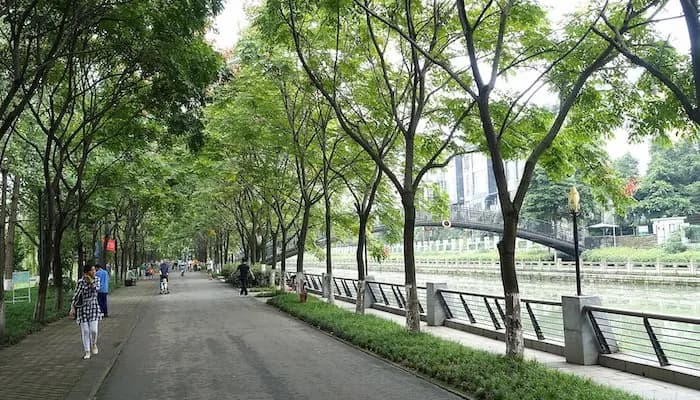 Jinjiang Riverside Greenway Chengdu