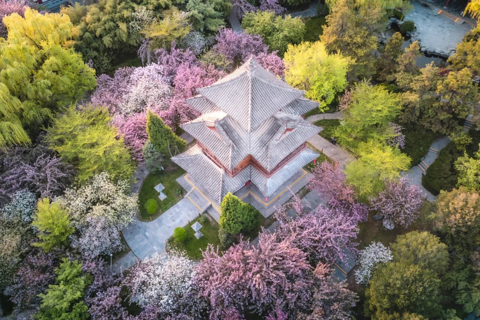 Xi’an Spring 6