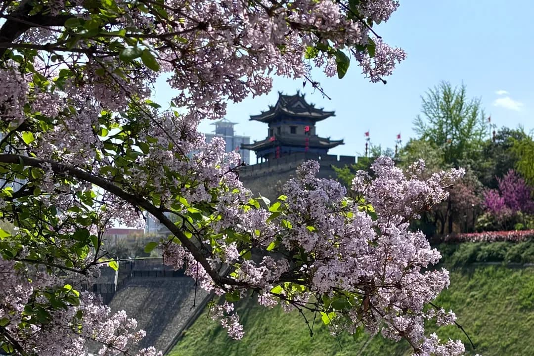 Xi’an Spring