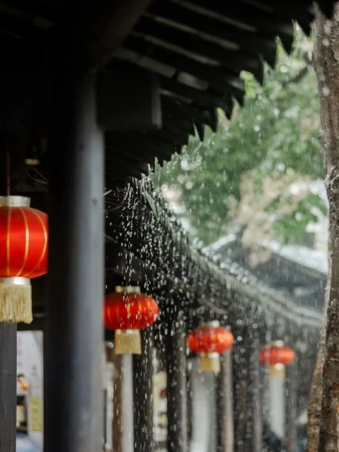 Xitang (19)