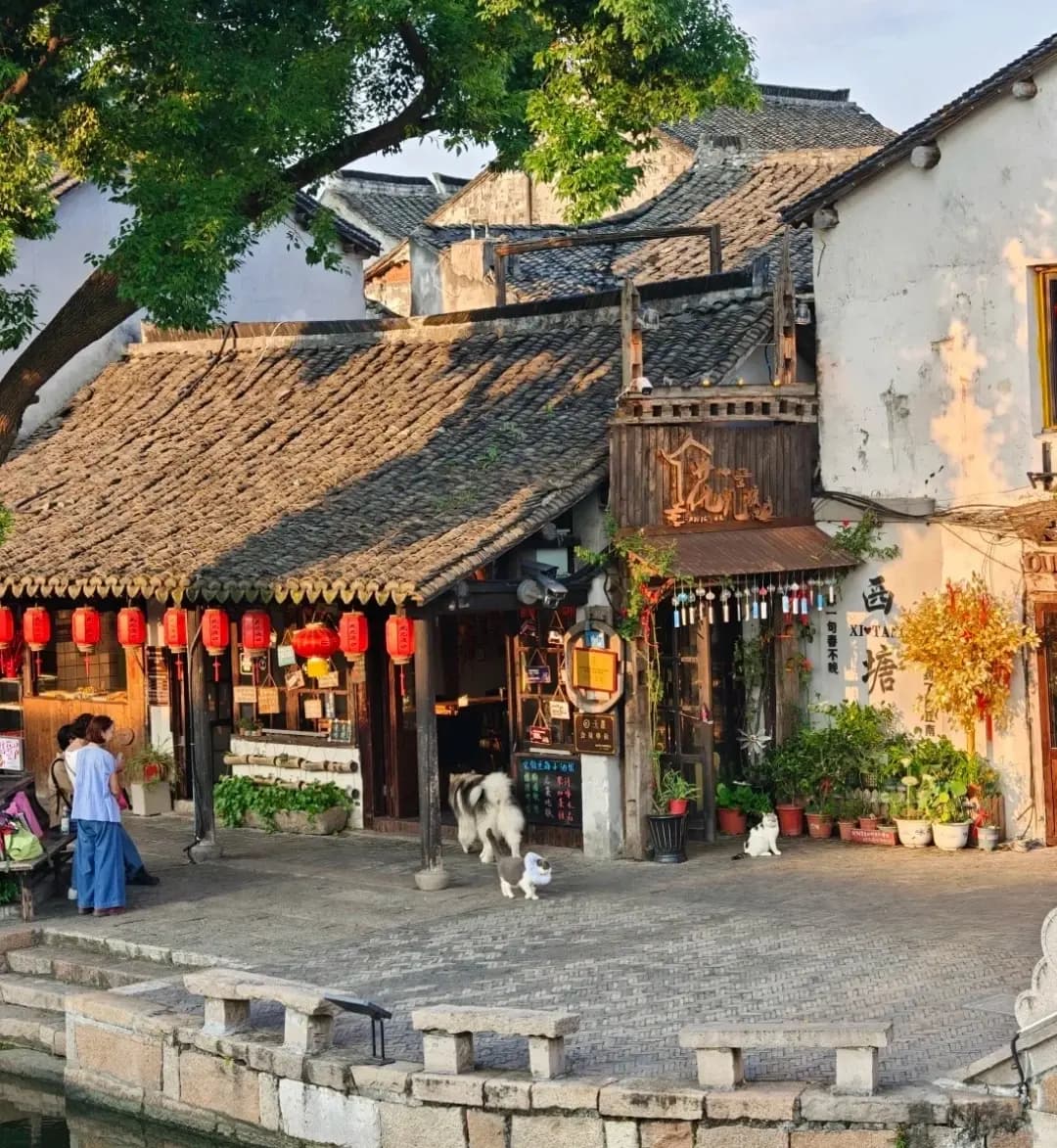 Xitang (6)