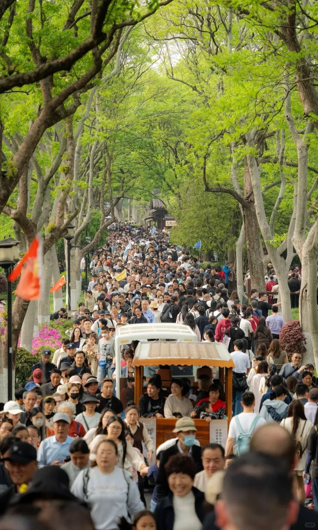 crowds