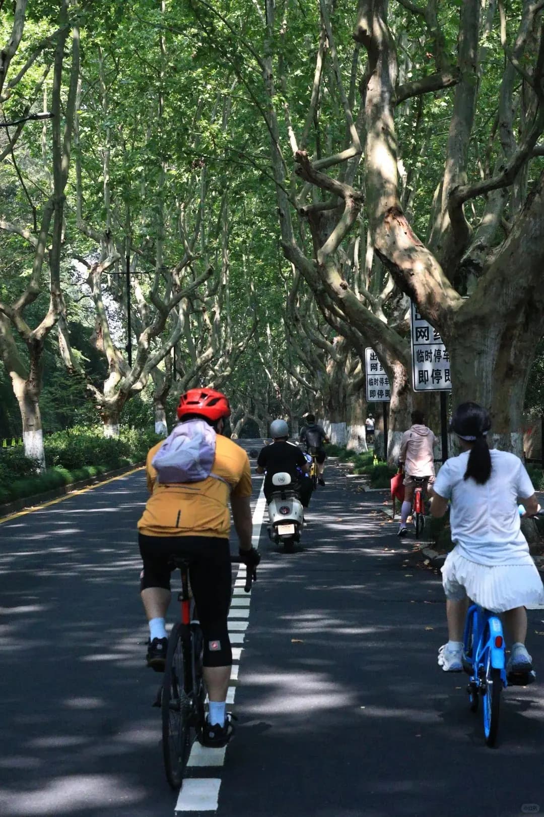 West Lake bike (1)