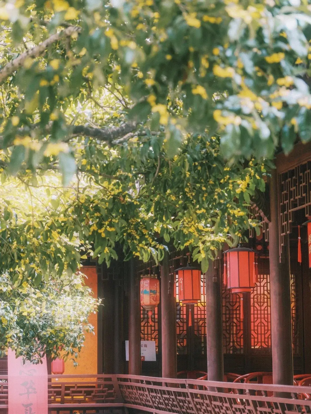 West Lake Qianwang Temple (2)