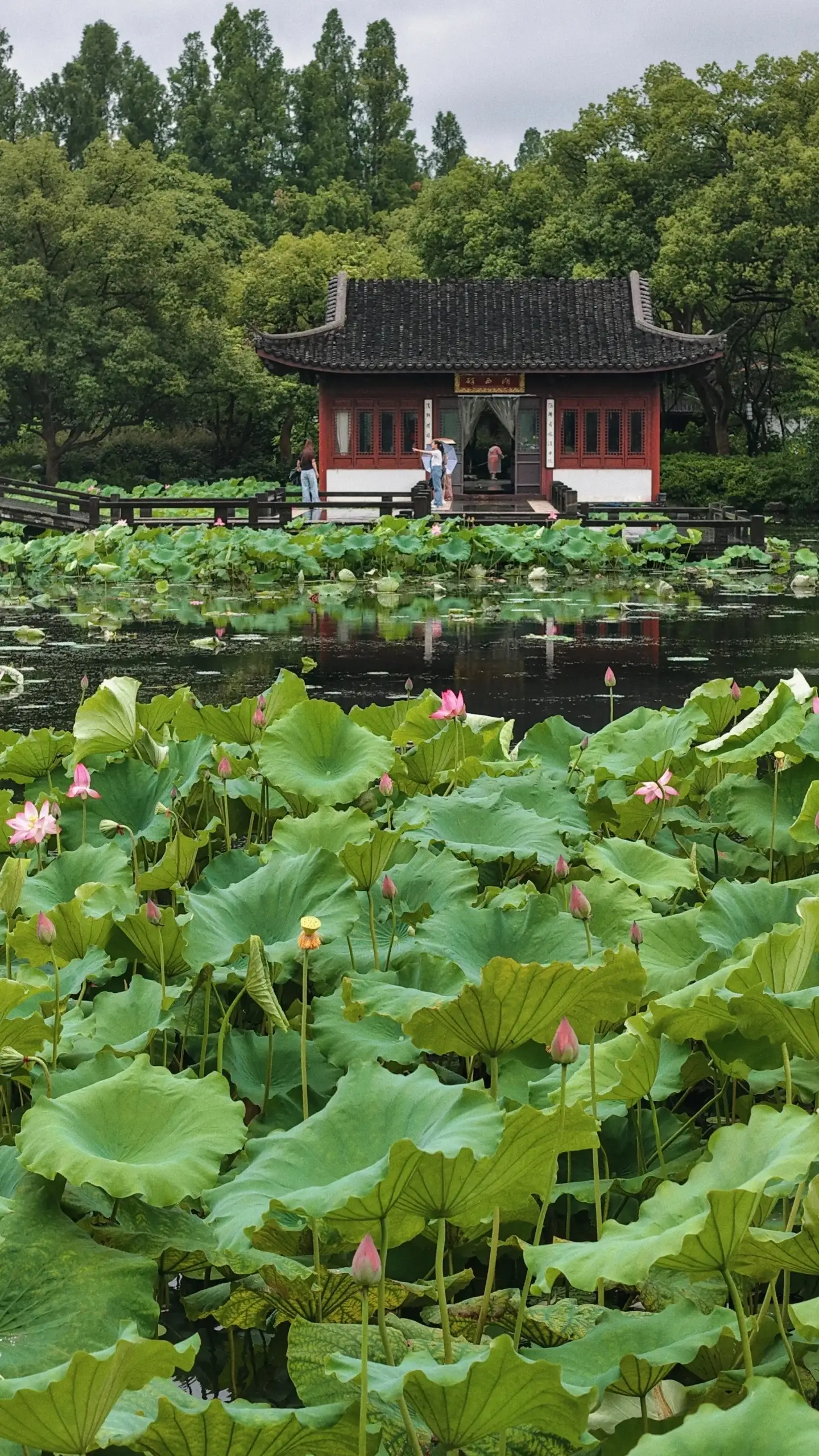West Lake Quyuan Fenghe (1)
