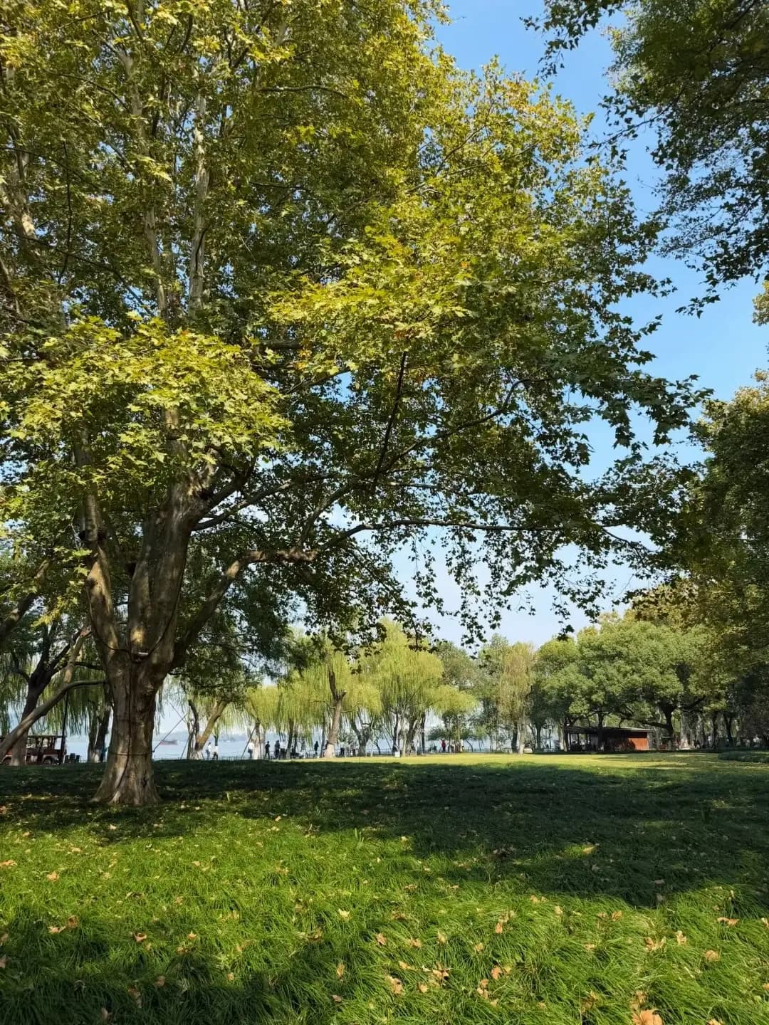 West Lake Liulang Wenying (2)
