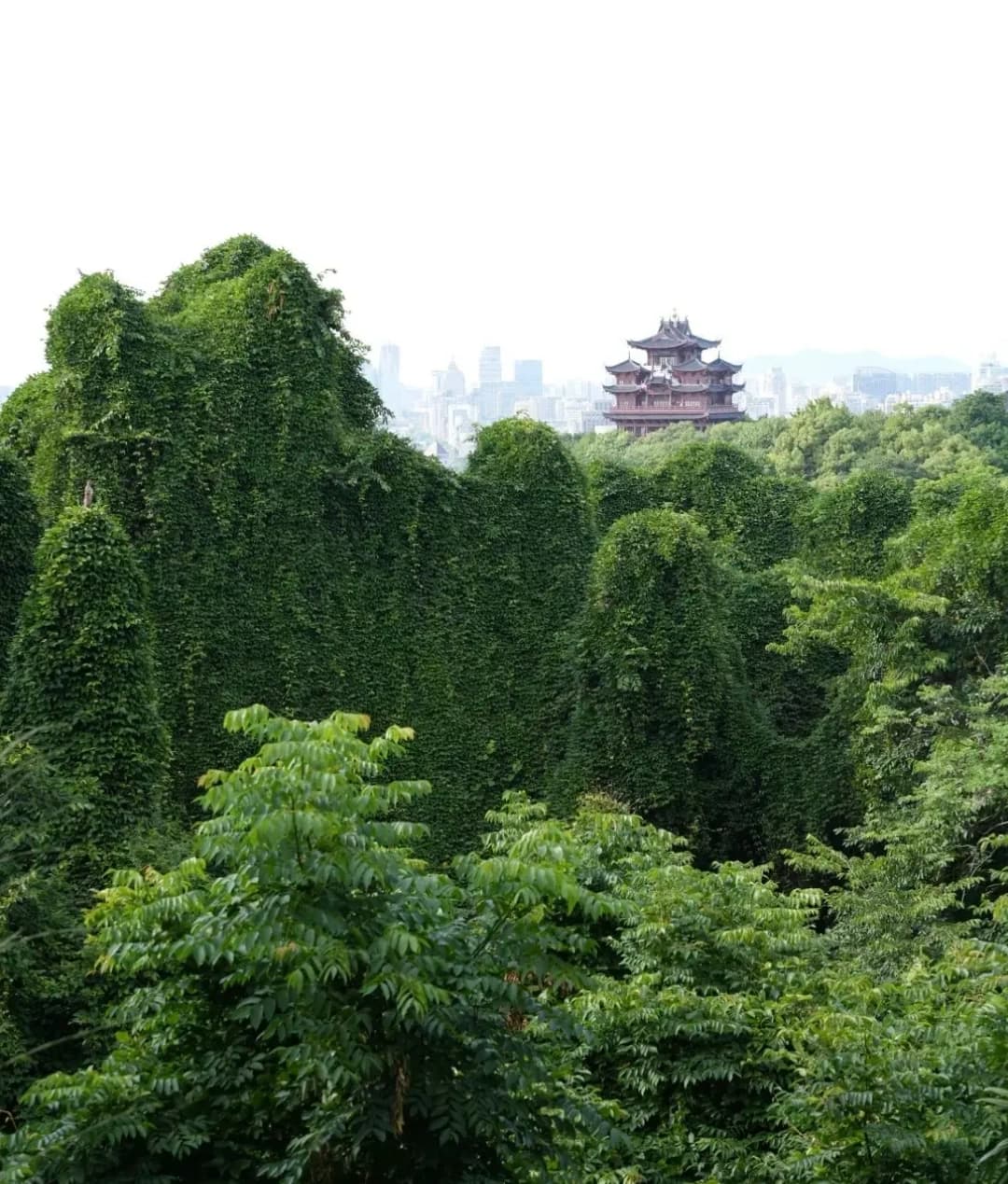 West Lake Wu Mountain (2)