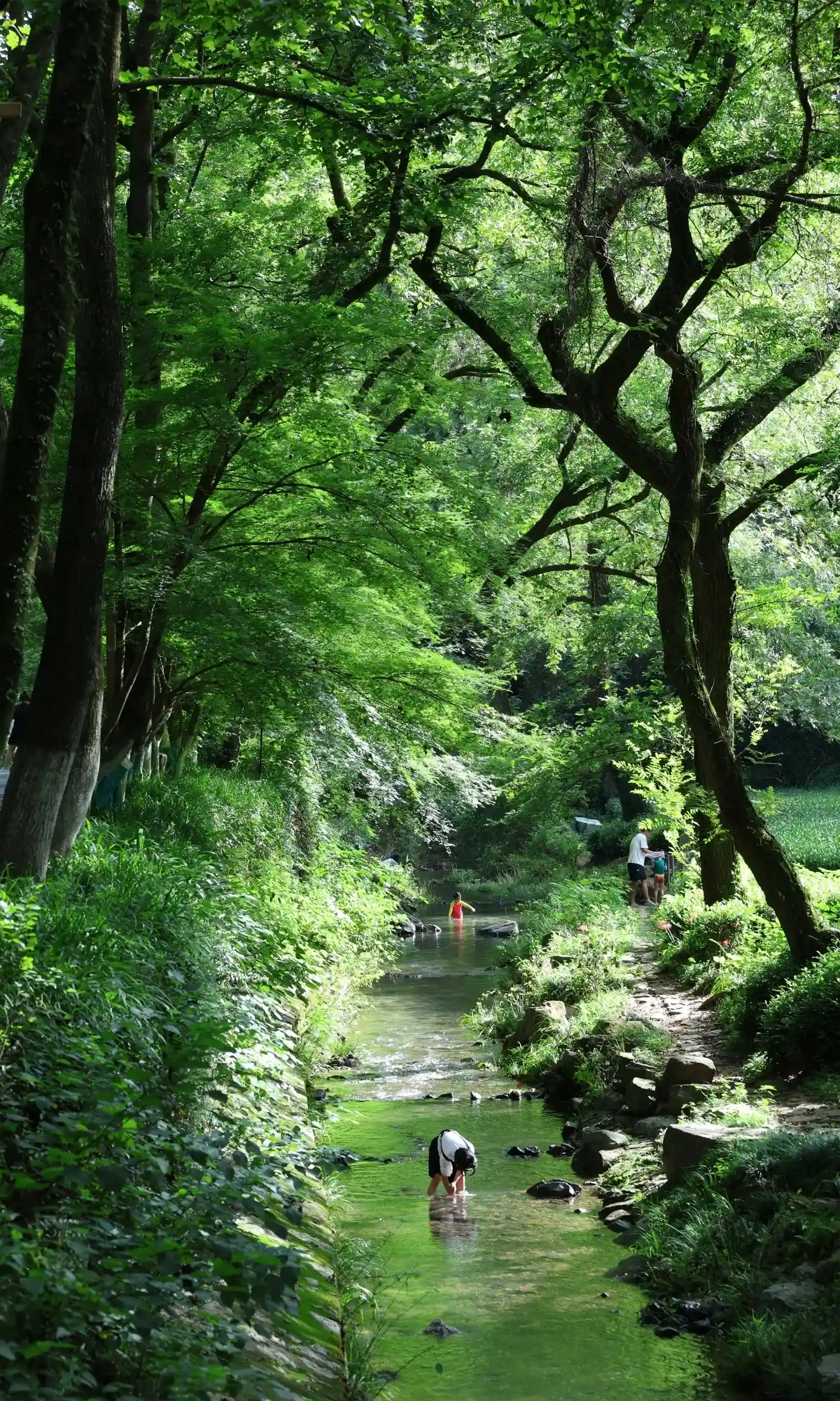 West Lake Jiuxi (1)