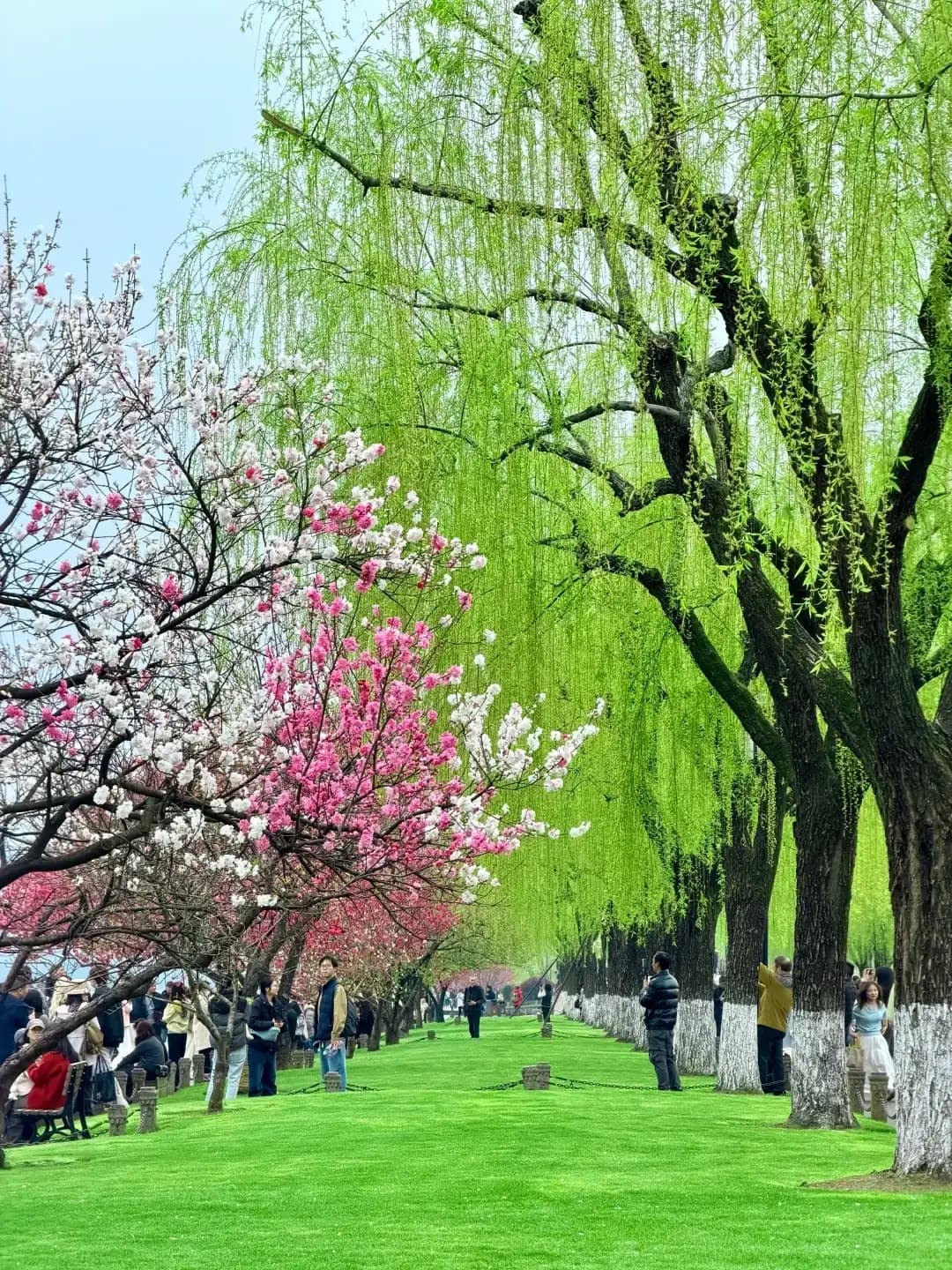 West Lake Spring (2)