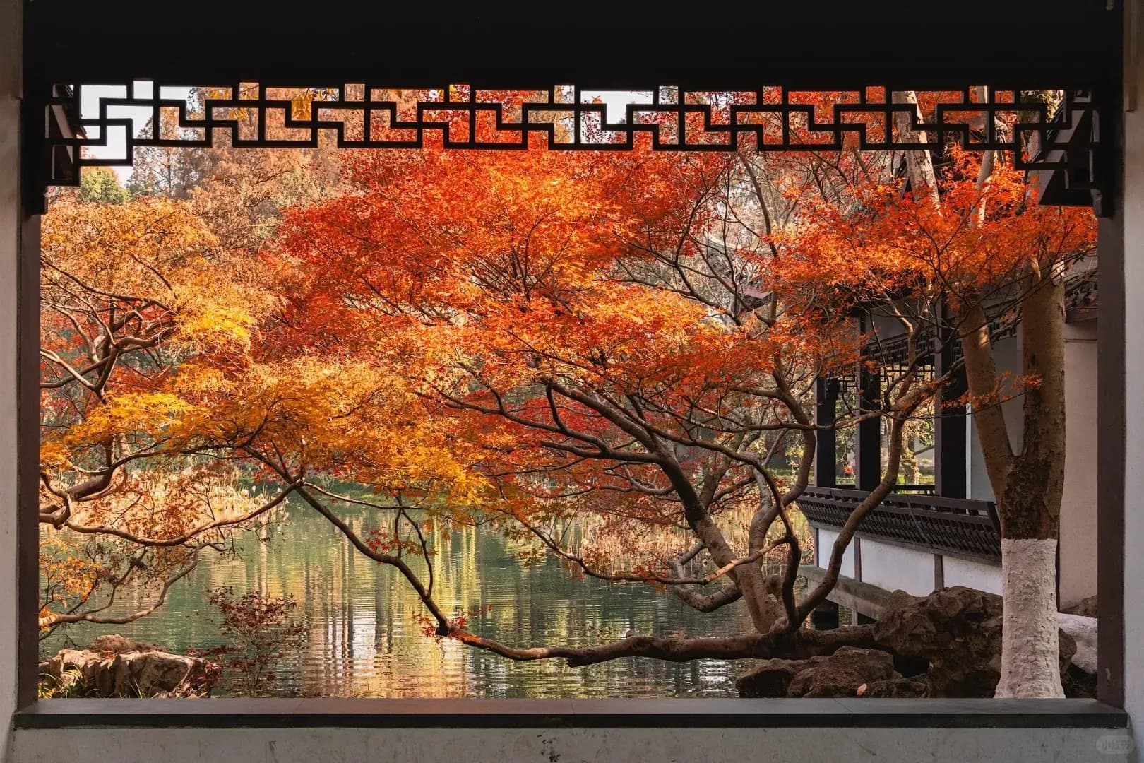 West Lake Autumn (2)