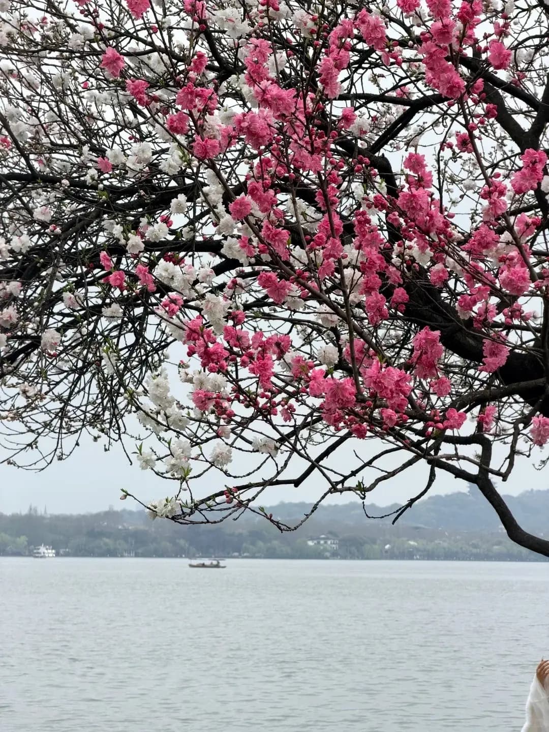 West Lake Winter (1)
