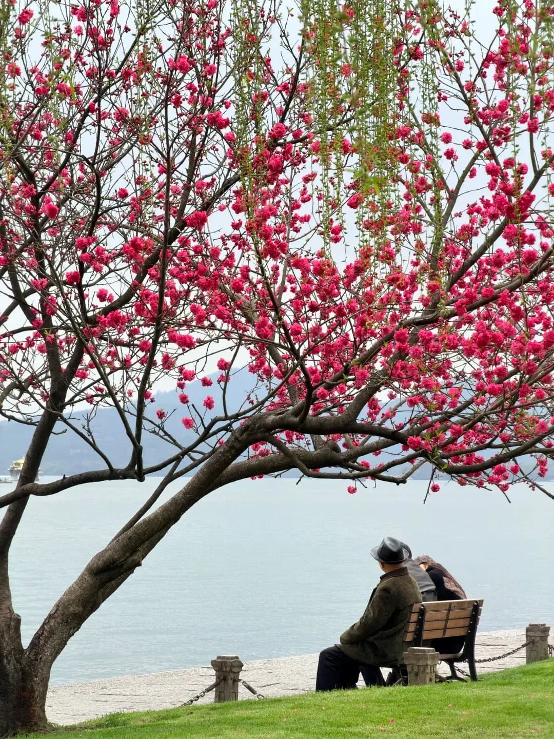 West Lake Spring (1)