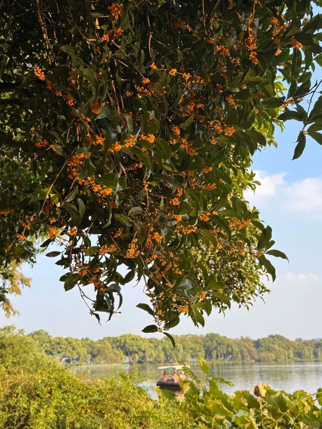West Lake Autumn (1)