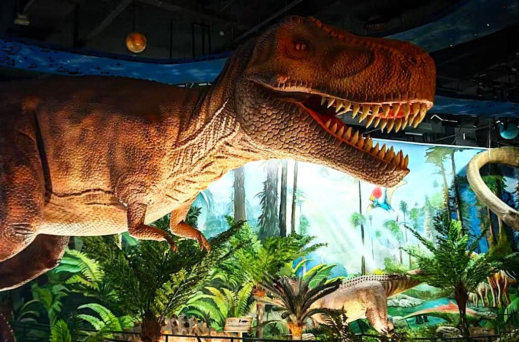 Xi'an Shaanxi Natural Science Museum(2)