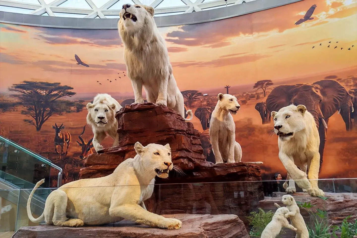 Xi'an Shaanxi Natural Science Museum(3)