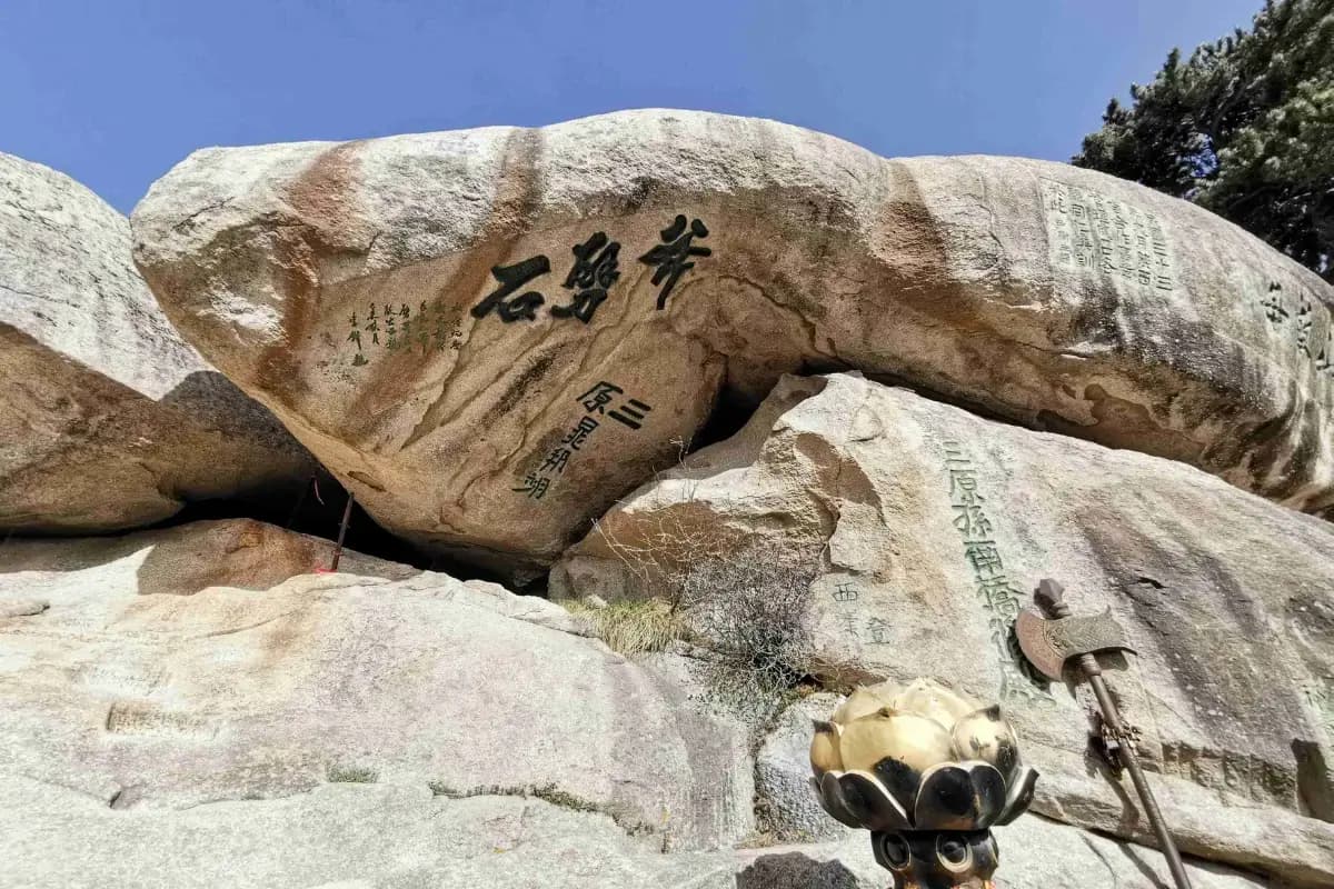 mt hua 8
