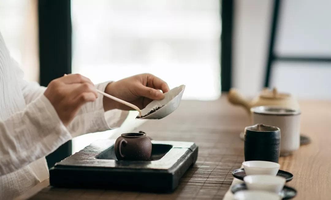Tea Hunting at Fangcun Tea Market – Discover Guangzhou’s Tea Culture