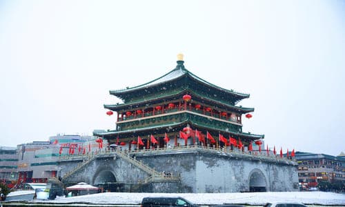 Blog image