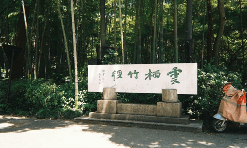 Bamboo-lined Path at Yunqi