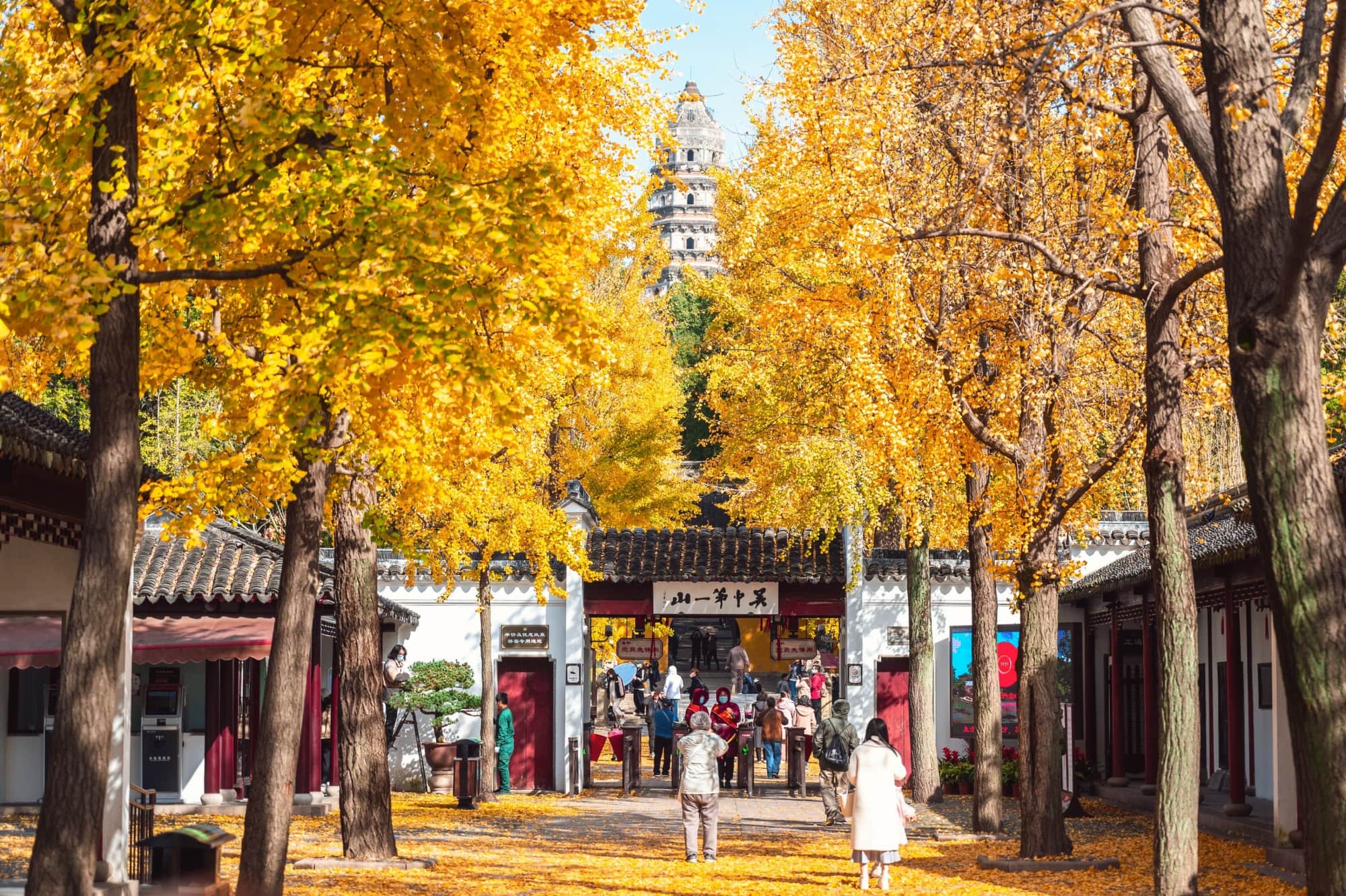 Ultimate Suzhou Day Trip from Shanghai: Suzhou Garden and Pingjiang Ancient Road