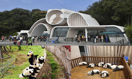 chengdu panda base