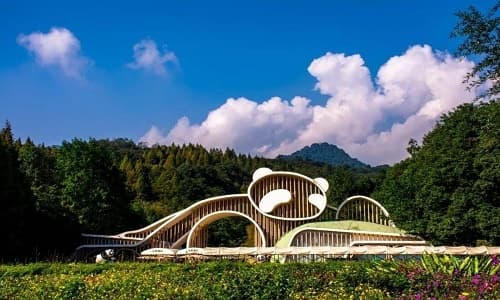 Chengdu Dujiangyan Panda Base
