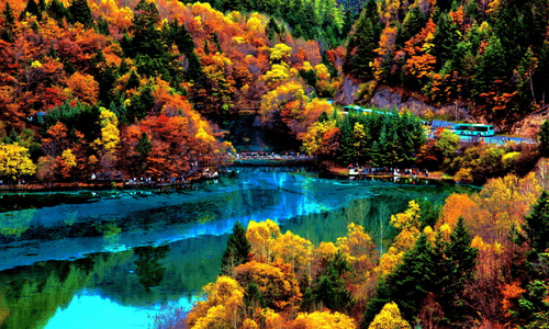 Sichuan peacock river in jiuzhaigou sichuan china