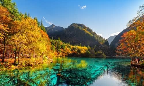 Chengdu, Emei Mountain & Jiuzhaigou 6-Day Journey: Pandas, Sacred Peaks & Nature Wonders