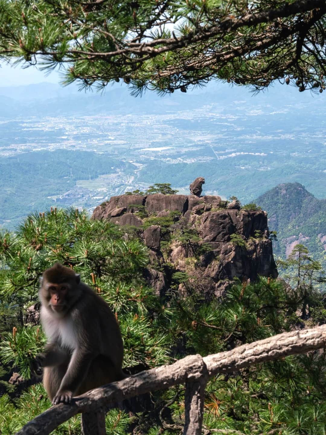 Huangshan Classic Day Tour from Hangzhou: Peaks, Pines & Mountain Views