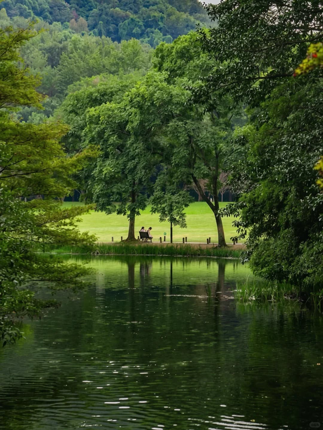 Yanggongdi – The Essence of Inner West Lake