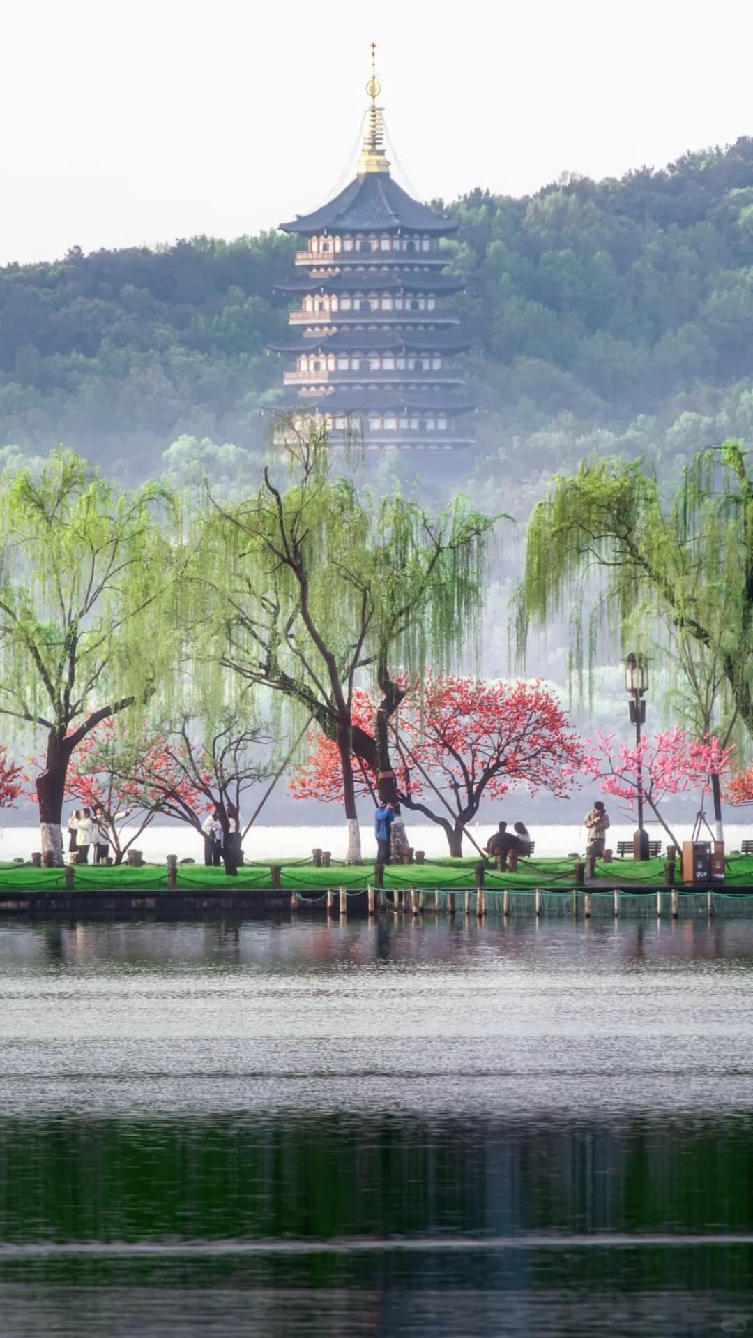 West Lake Full Loop Bike Tour: Explore Hangzhou’s Scenic Highlights