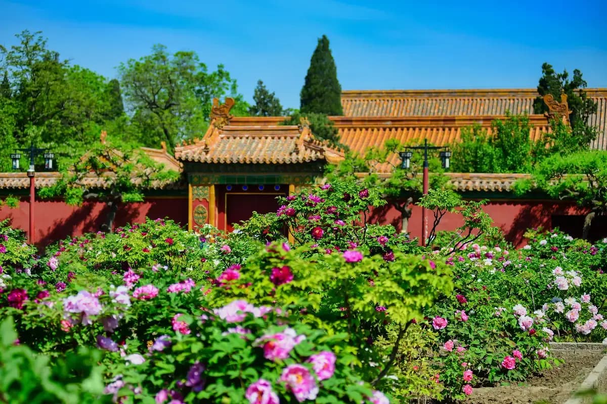 Jingshan Park