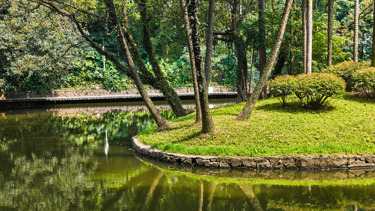 Yuexiu Park