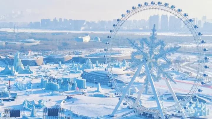 Harbin Day Tour Package with Ice Festival Magic and Frozen River Wonders