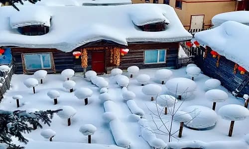 Dream Home Snow Mushroom