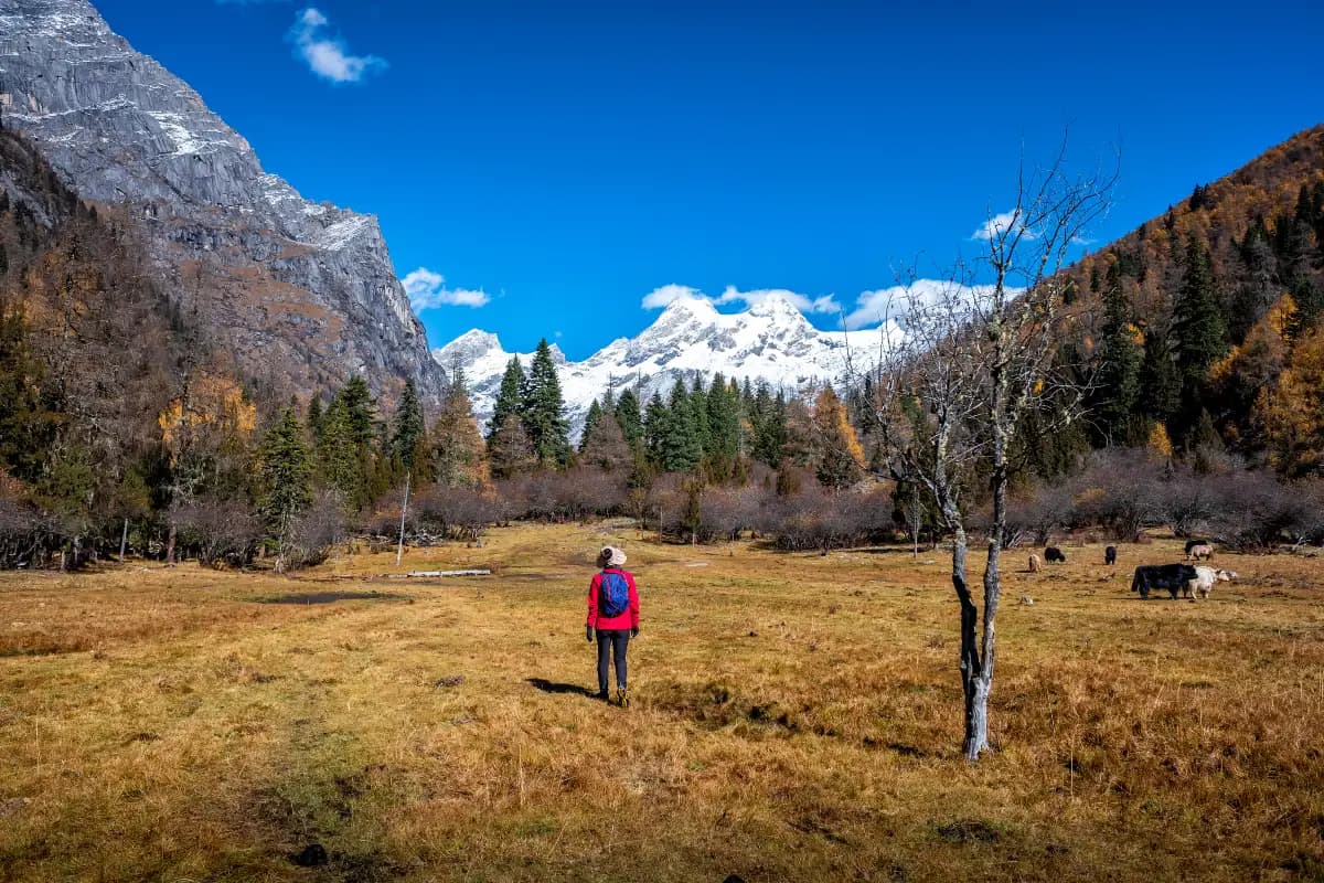 Western Sichuan 7-Day Adventure: Snow Mountains, Tibetan Villages & Alpine Landscapes