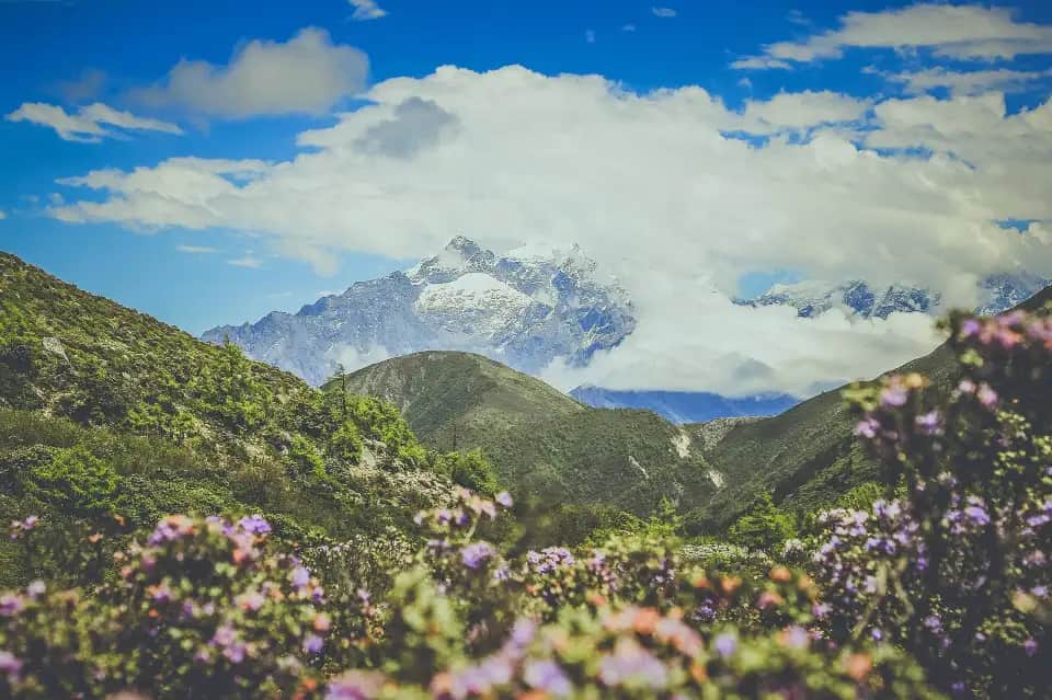 3-Day Western Sichuan Scenic Tour: Four Girls Mountain, Tagong Grassland & Mugecuo