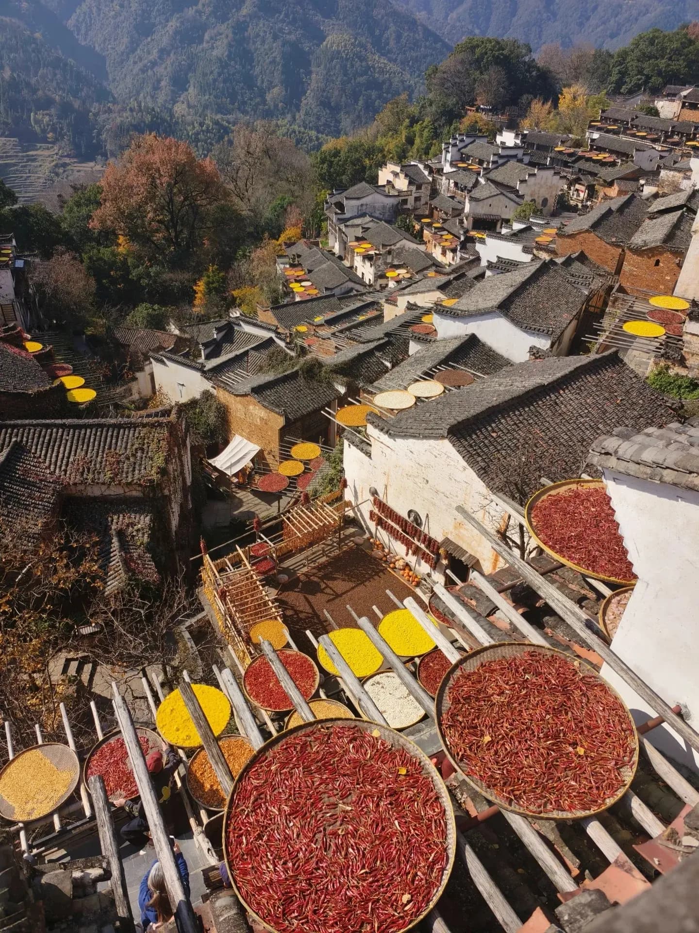 From Peaks to Heritage: 5-Day Huangshan & Huizhou Cultural Journey