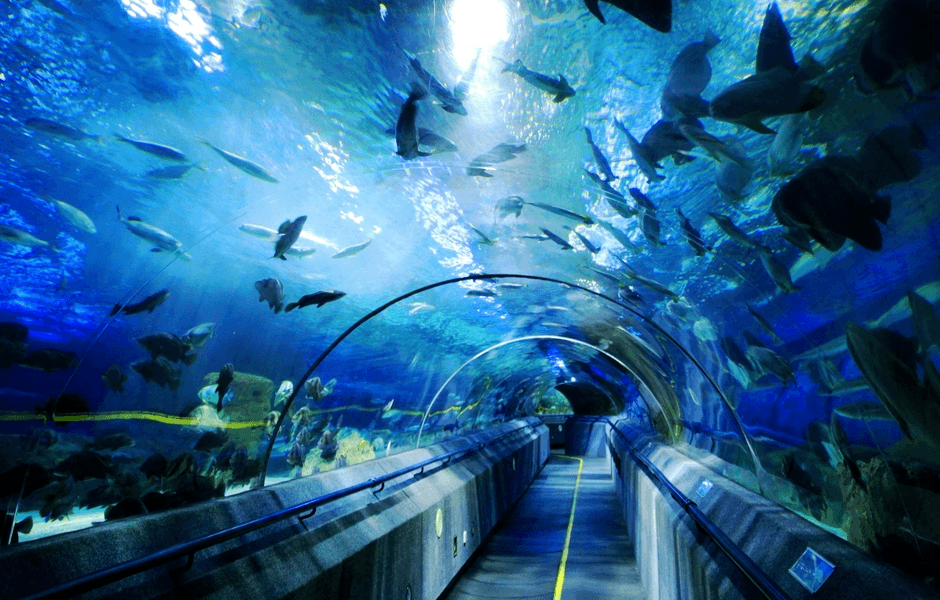 4-Day Guangdong Cultural & Coastal Discovery Tour: Guangzhou Heritage & Shenzhen Scenery