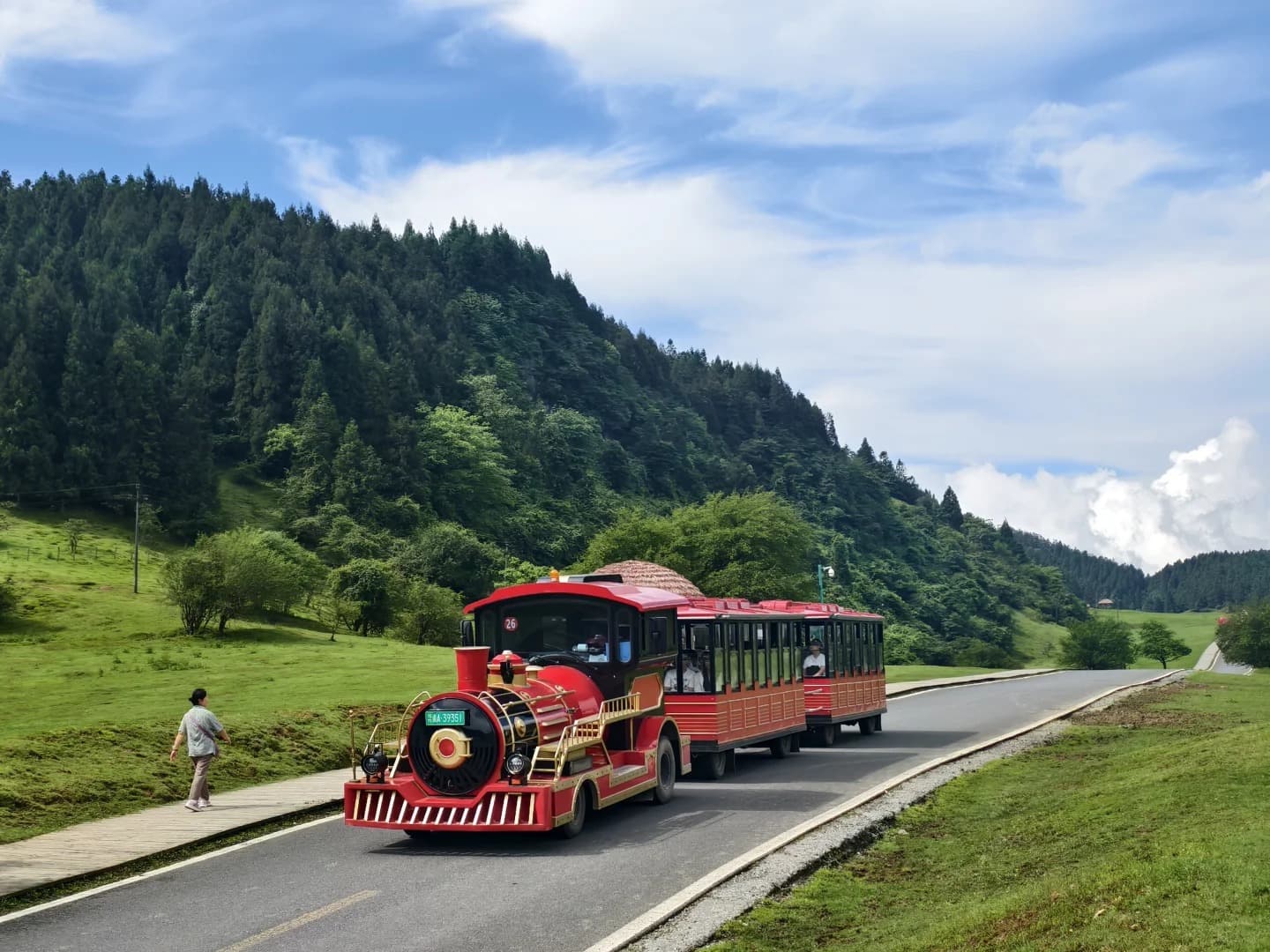 Scenic Forest Mini Train Ride