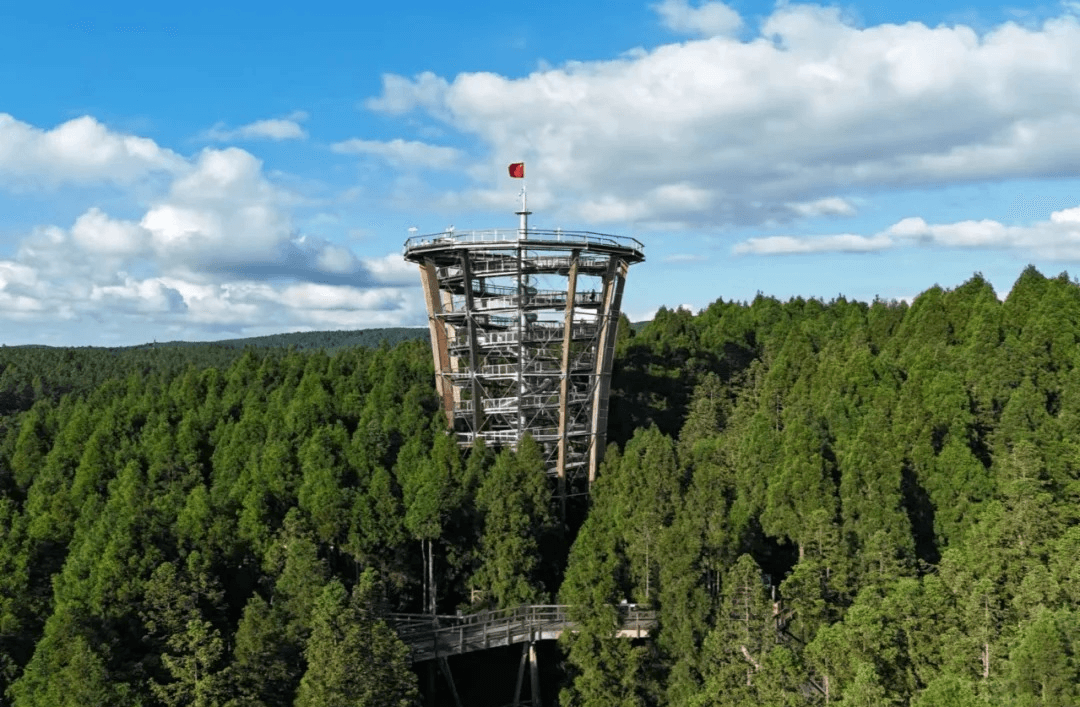 Forest Eye Viewing Platform Access
